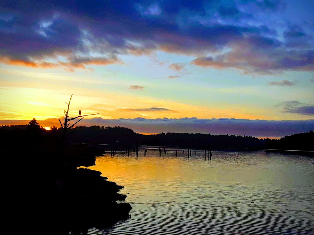 King Silver RV Park & Marina