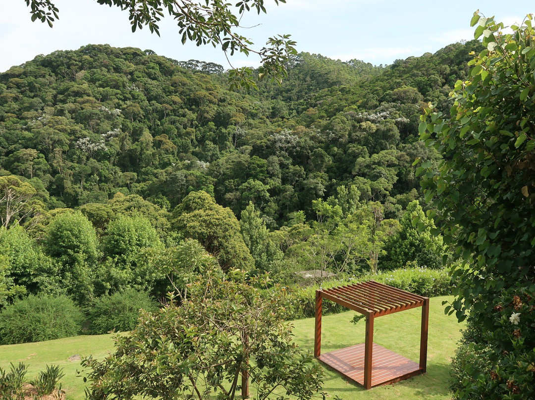 Pousada Do Cedro主图