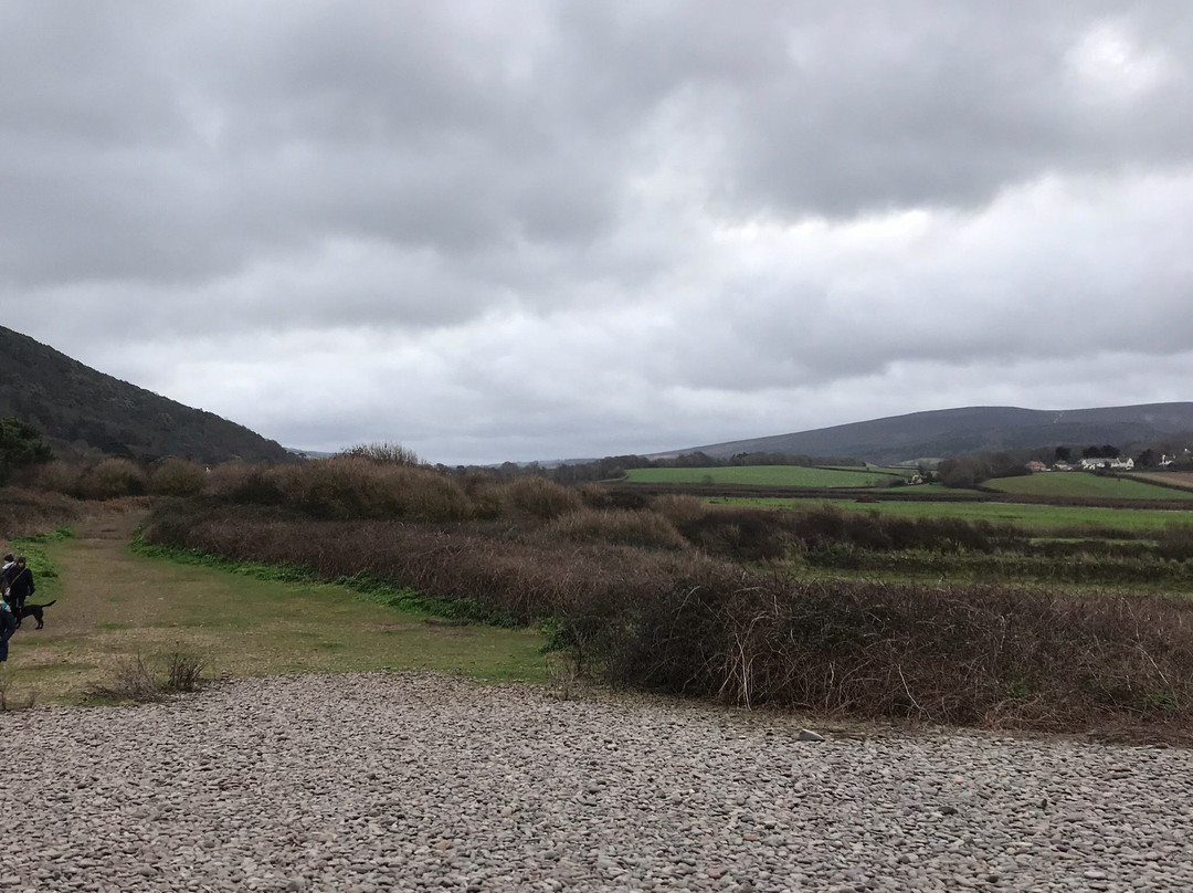 South West Coast Path - Bossington Landscape景点图片