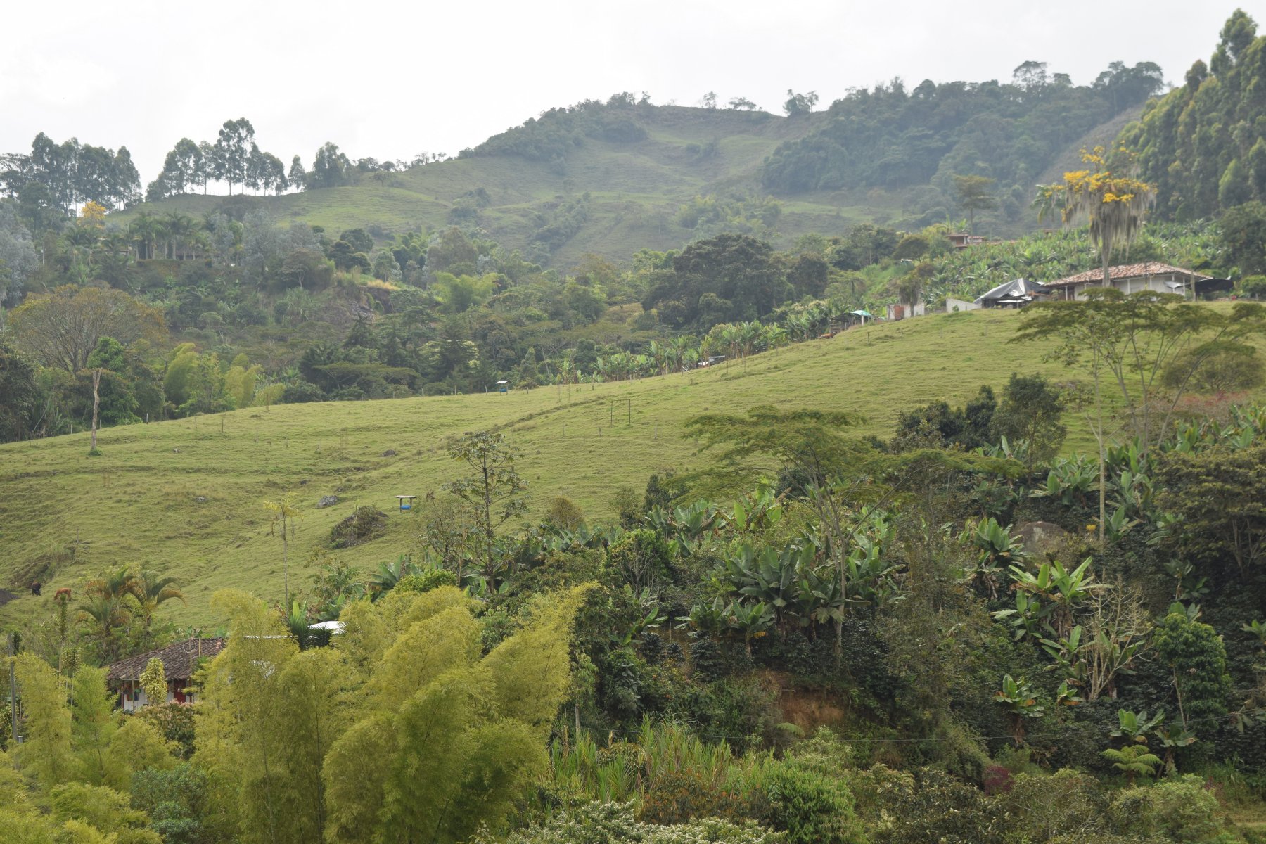 La Tángara Hostal Rural-浴室
