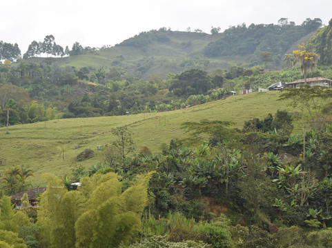 La Tángara Hostal Rural主图