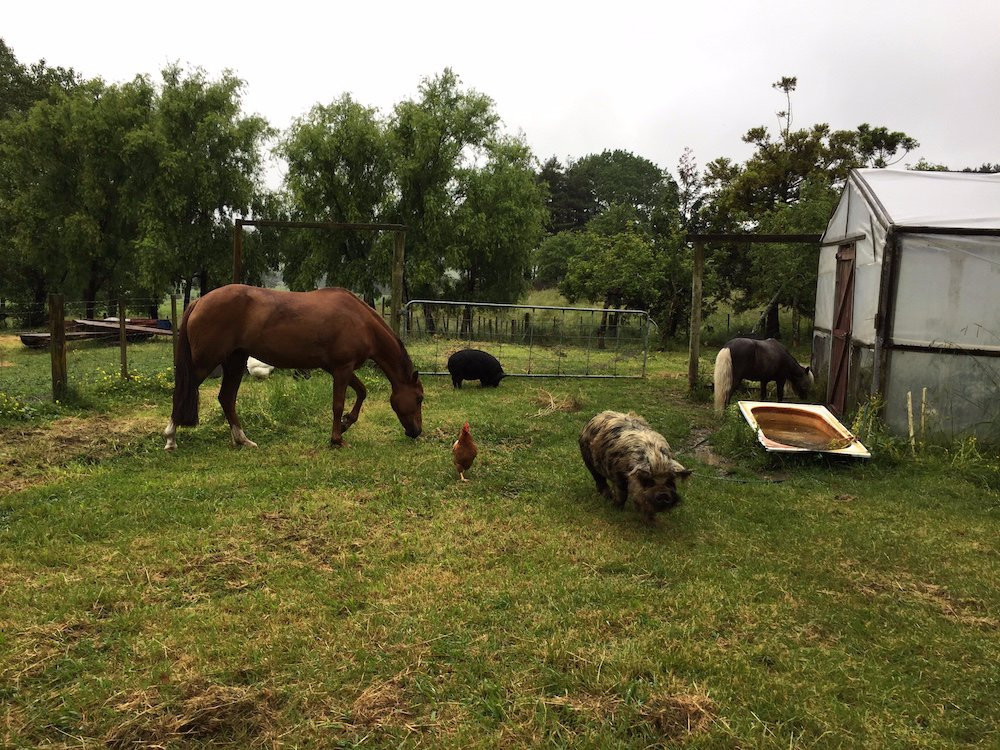 Mercury Orchard Accommodation主图