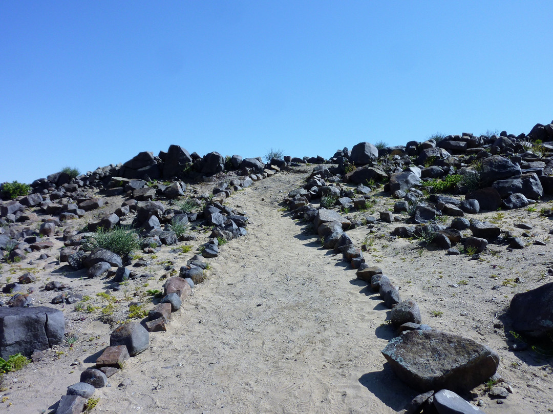 Dolphin Tours Namibia Eco Friendly Desert Tours-华维斯湾必去景点