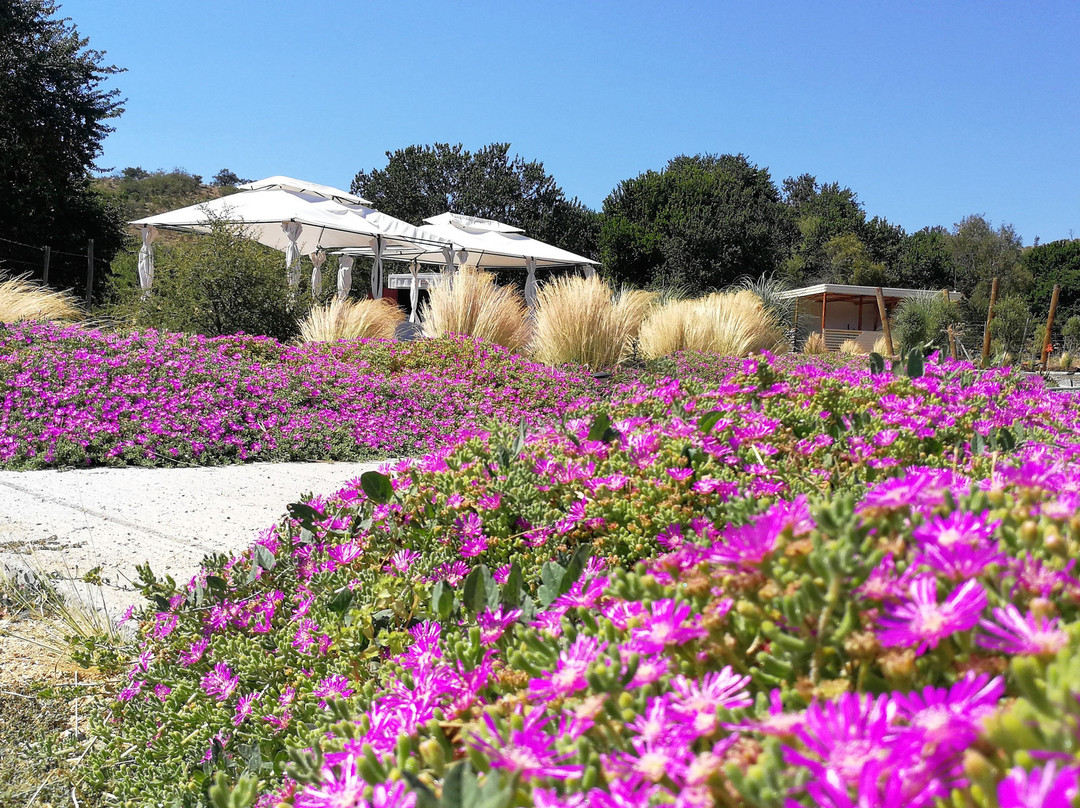 Observatorio Toki Kura-卡萨布兰卡必去景点