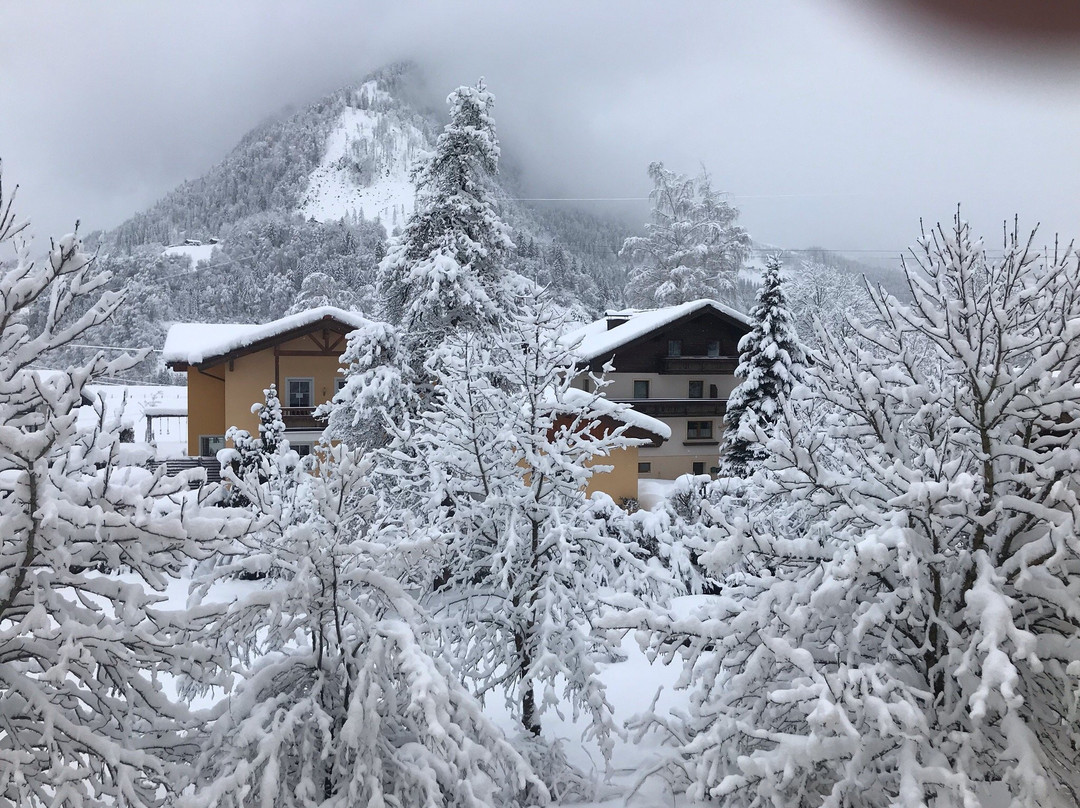 Landhotel Lerch Plankenau主图