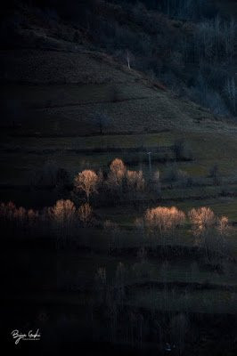 Sharr Mountains National Park-普里兹伦必去景点