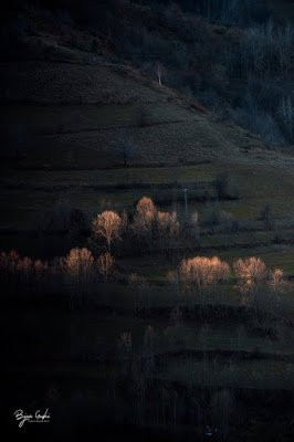 Sharr Mountains National Park景点图片