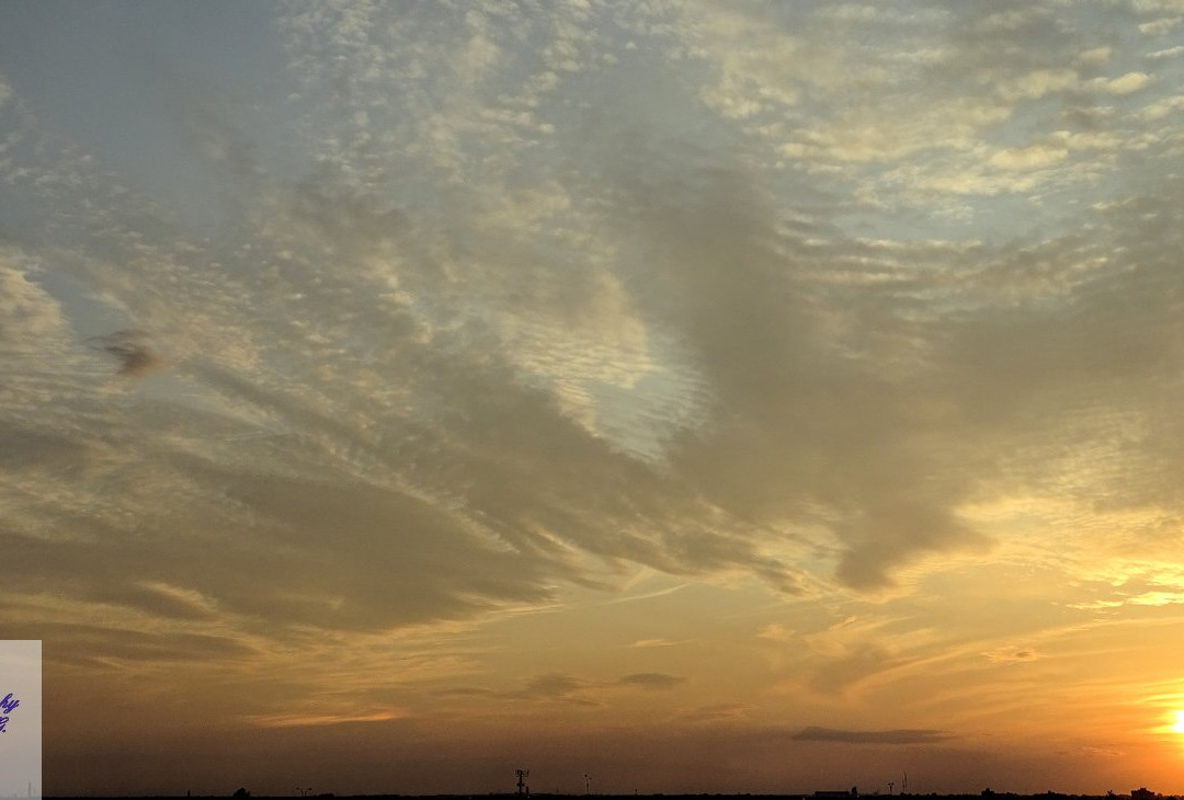 Best Western Plus East Side主图