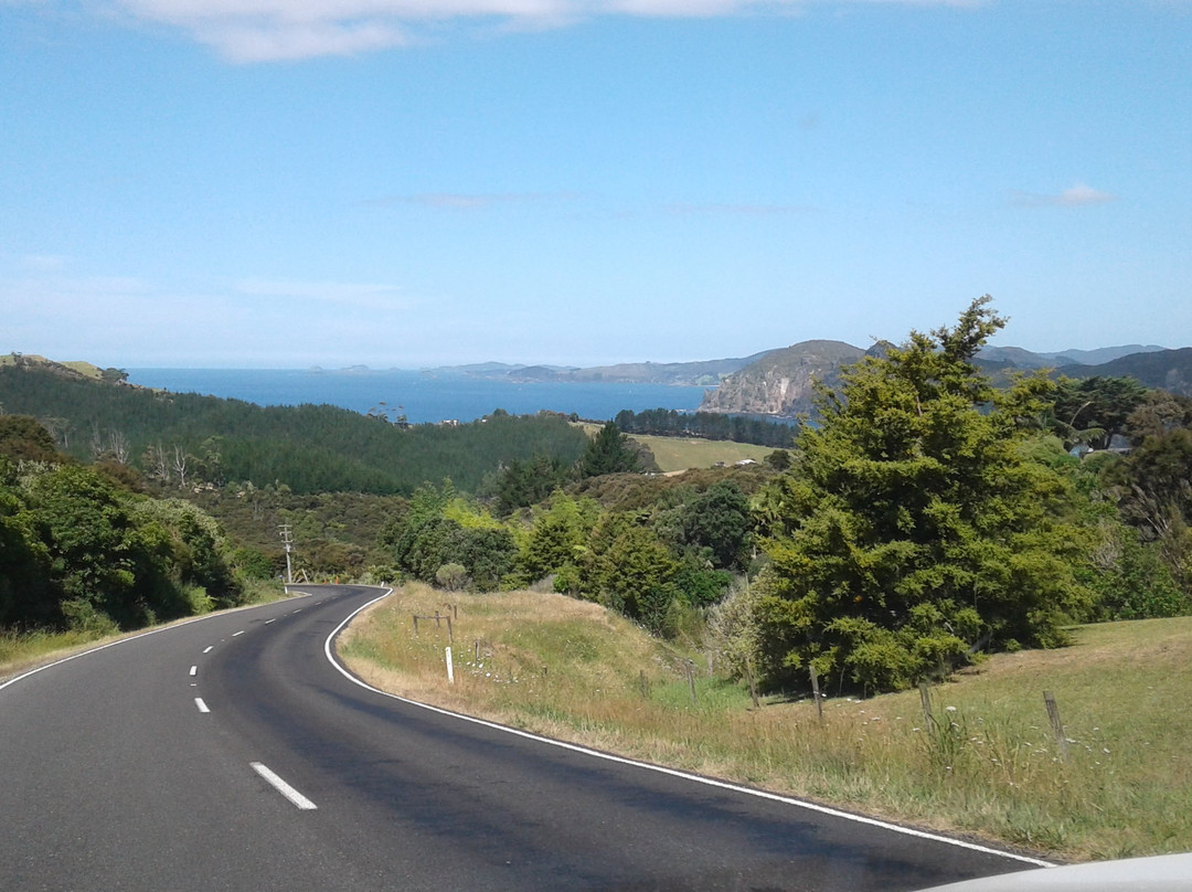 Taupo Bay Beach景点图片