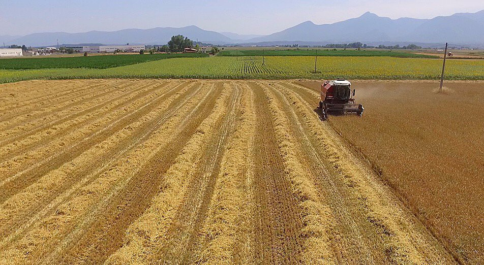 Tenuta De Matthaeis Molino A Pietra - Azienda Agricola景点图片