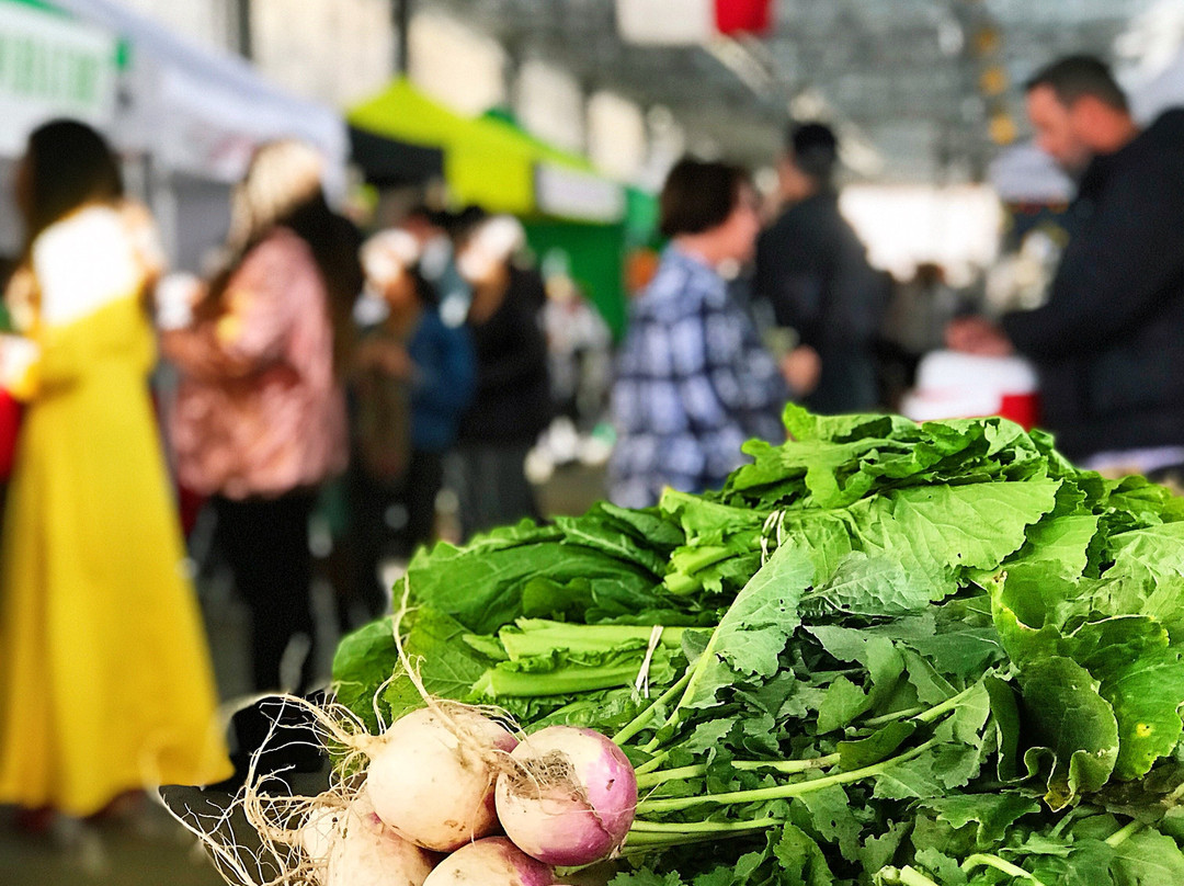 Dallas Farmers Market-达拉斯必去景点