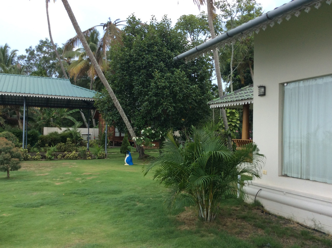 Cyrus Resorts by Tolins Hotels & Resorts主图