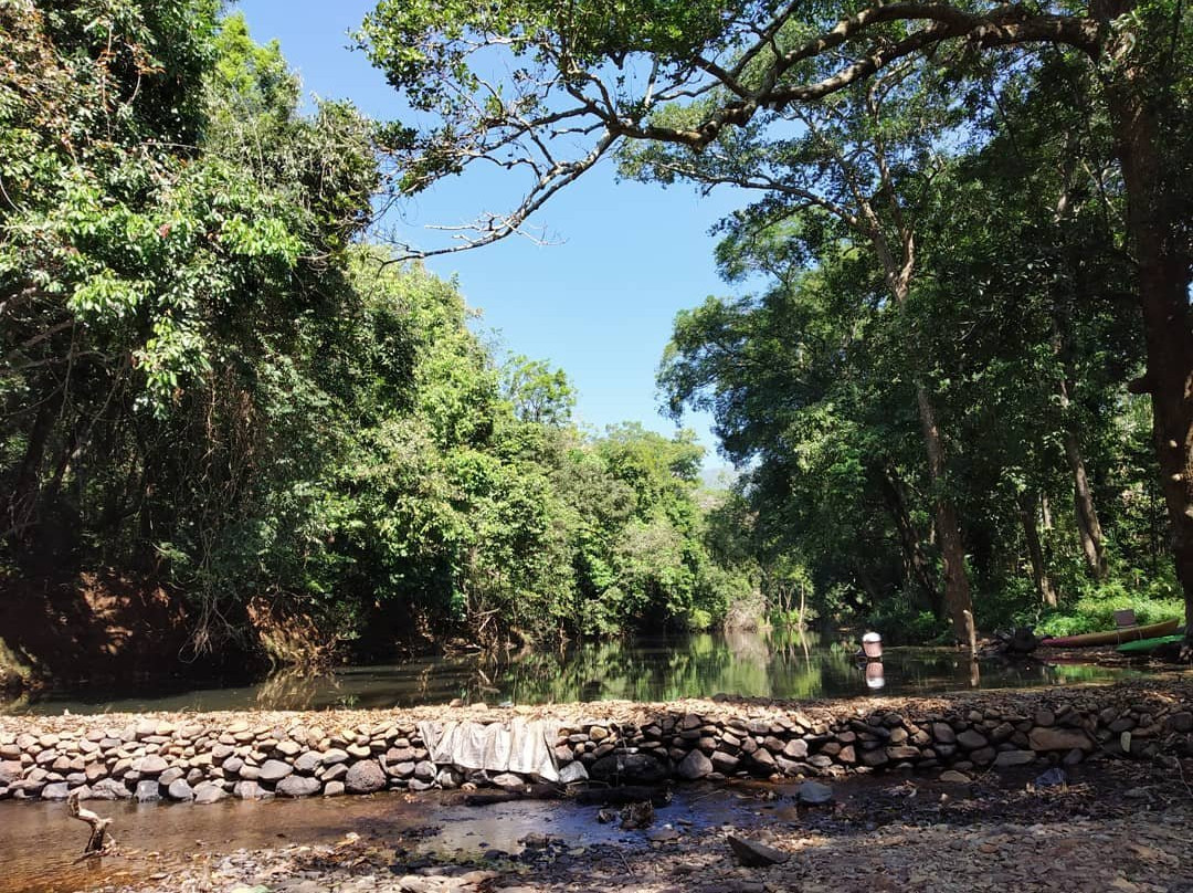 Wild Woods Spa and Resort主图