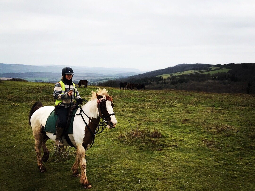 Quantock Trekking景点图片