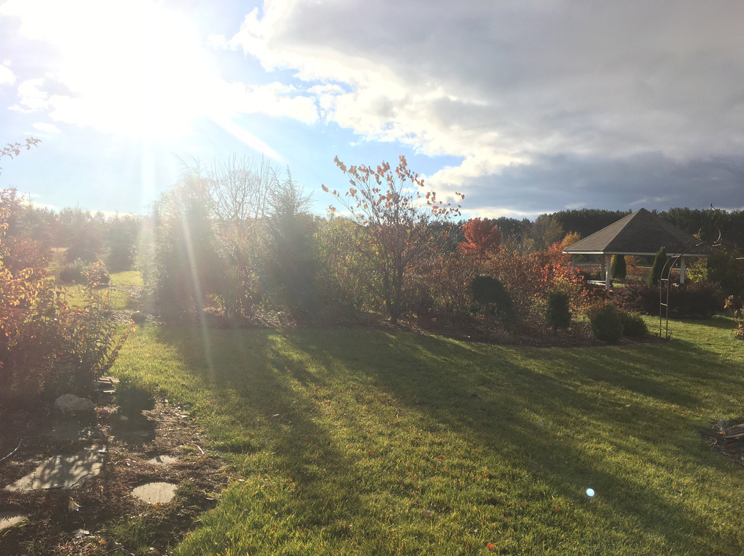 Light of Day Organic Teas-特拉弗斯城必去景点