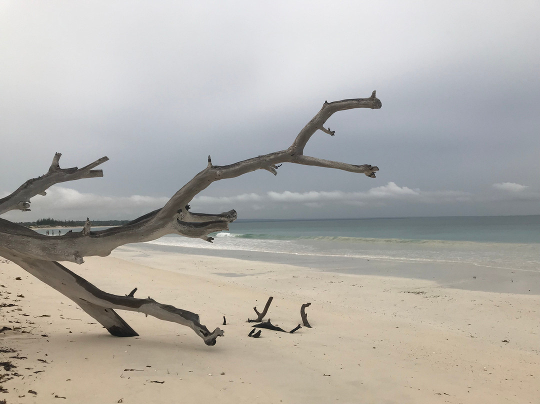 Carrusca Mar & Sol主图