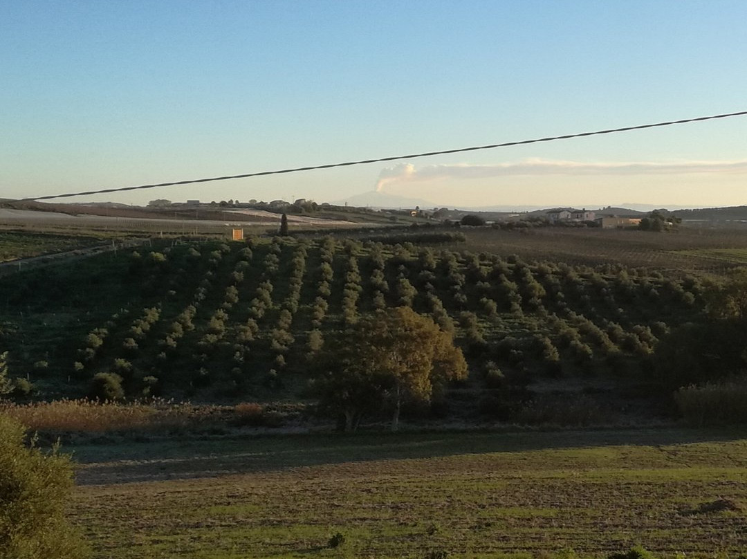 科席欧农庄酒店主图