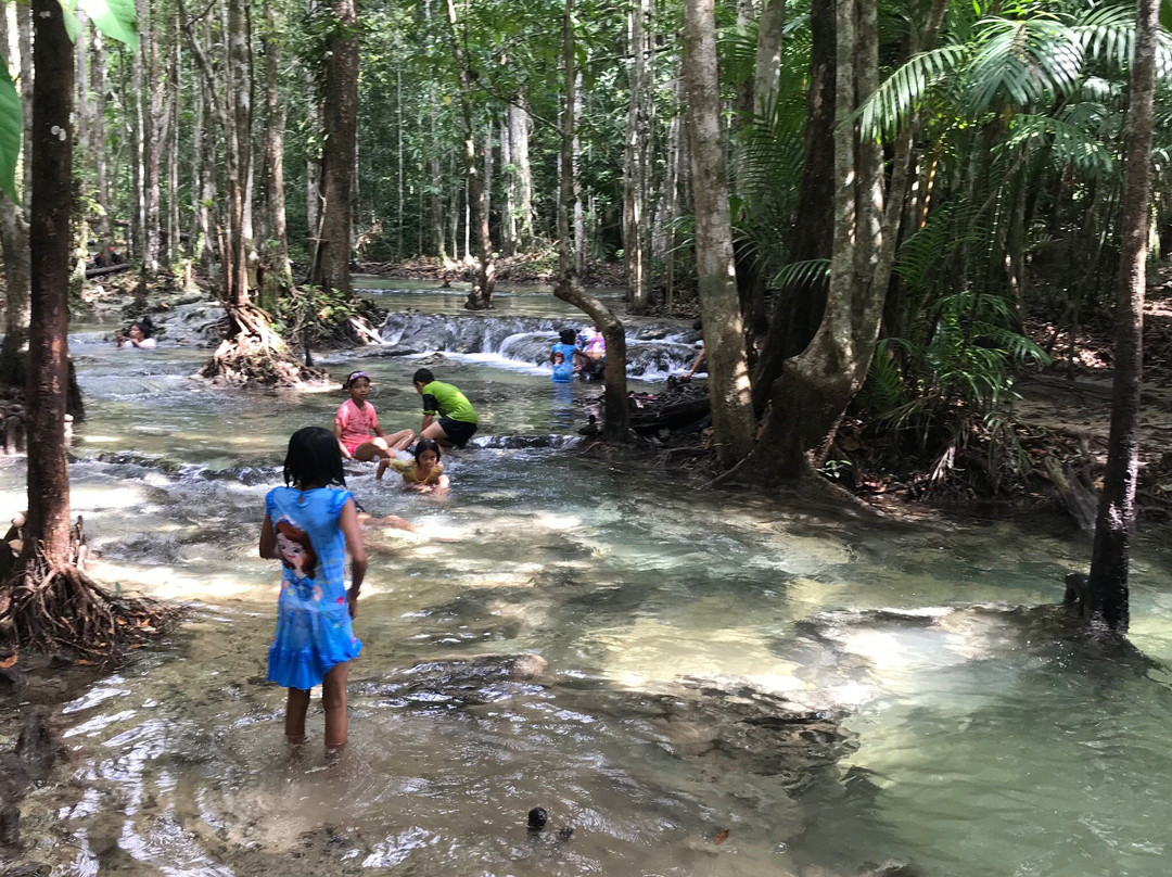 Krabi Jungle Tour景点图片