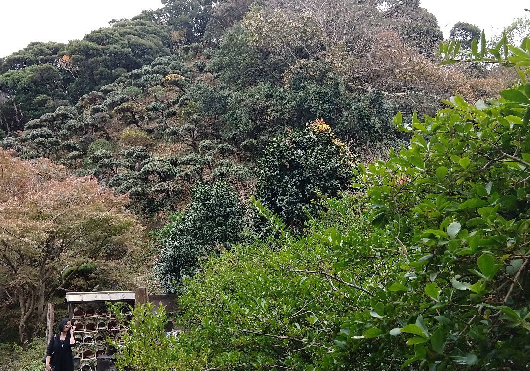 Ryosenji Temple景点图片