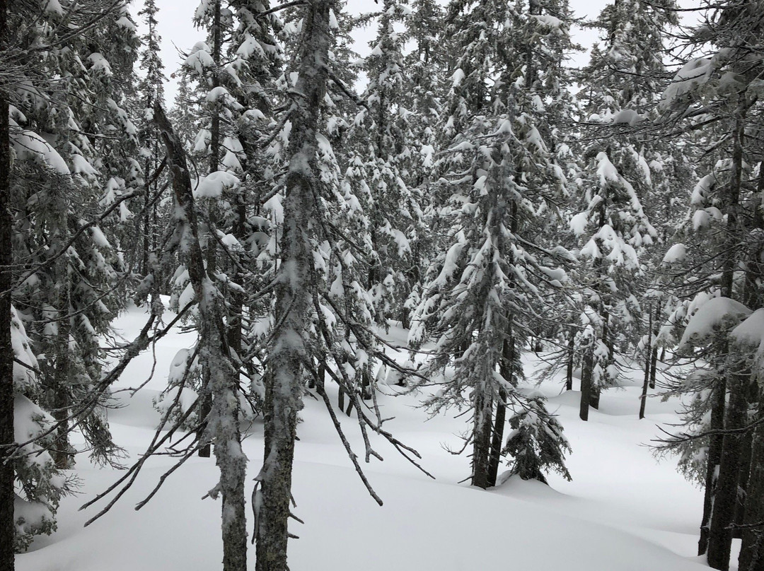 Skischule Bogei Filzmoos-菲尔兹摩斯必去景点