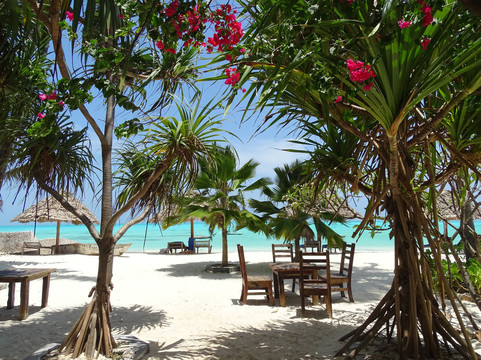 巴哈提别墅 桑给巴尔主图