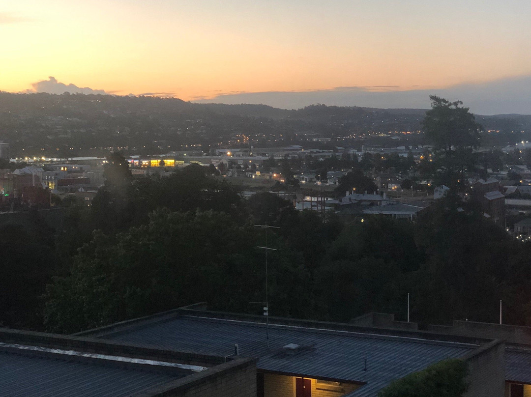 Areca Launceston主图