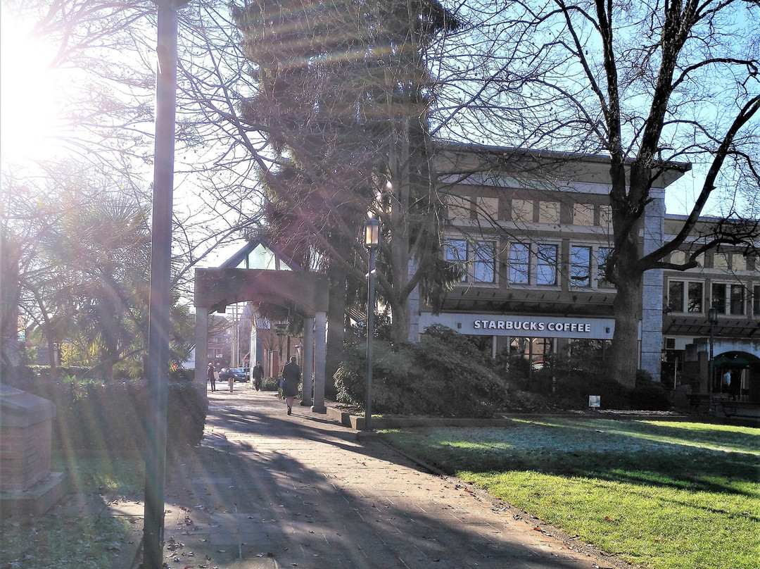 Veterans Park-高贵林港必去景点