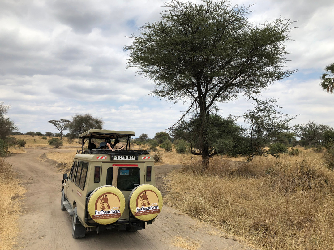 Fair Travel Group Tanzania-阿鲁沙必去景点