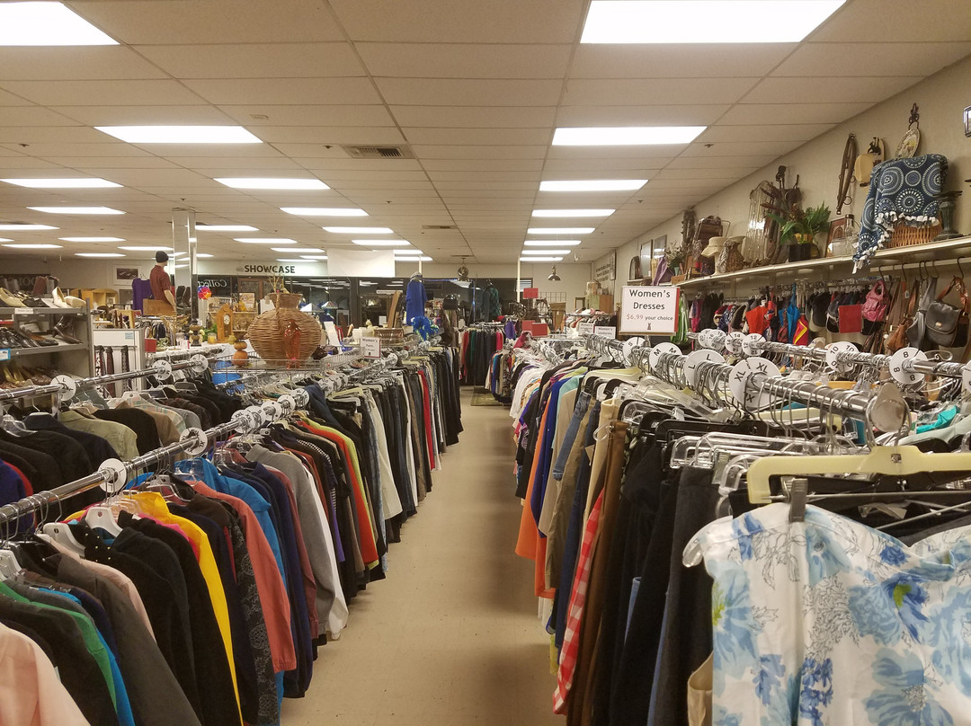 Finding Treasures for a Cure Thrift & Antique Store-林伍德必去景点