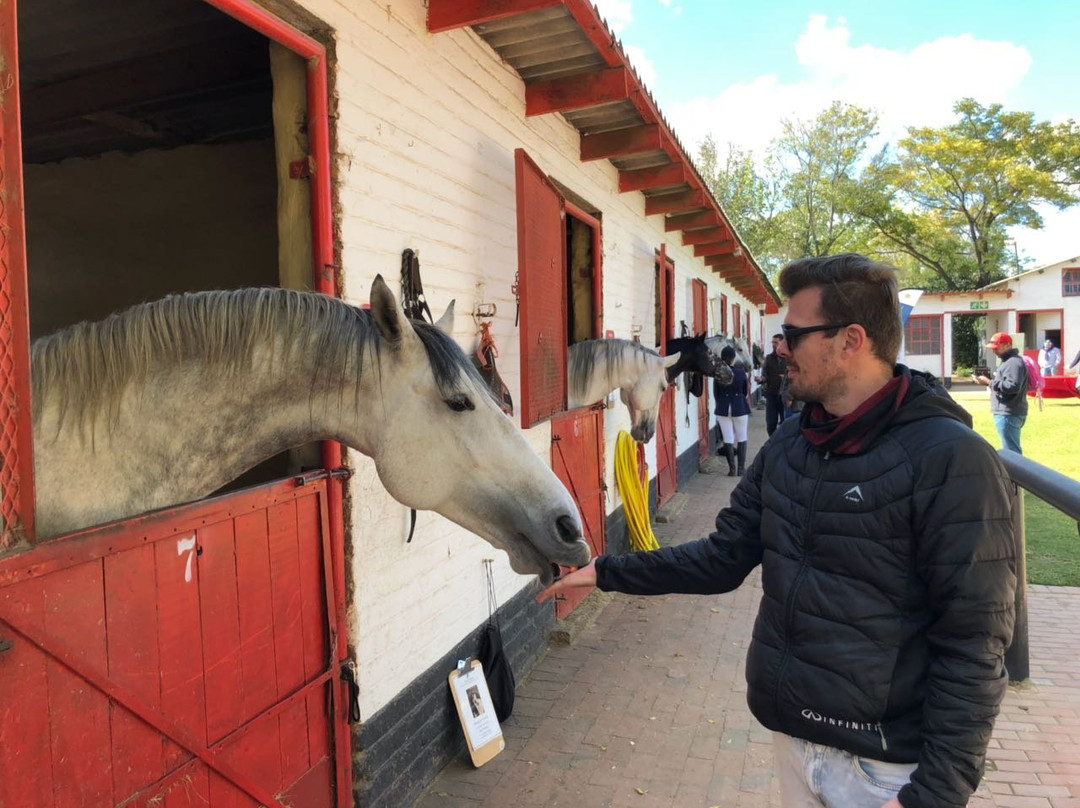 The South African Lipizzaners景点图片