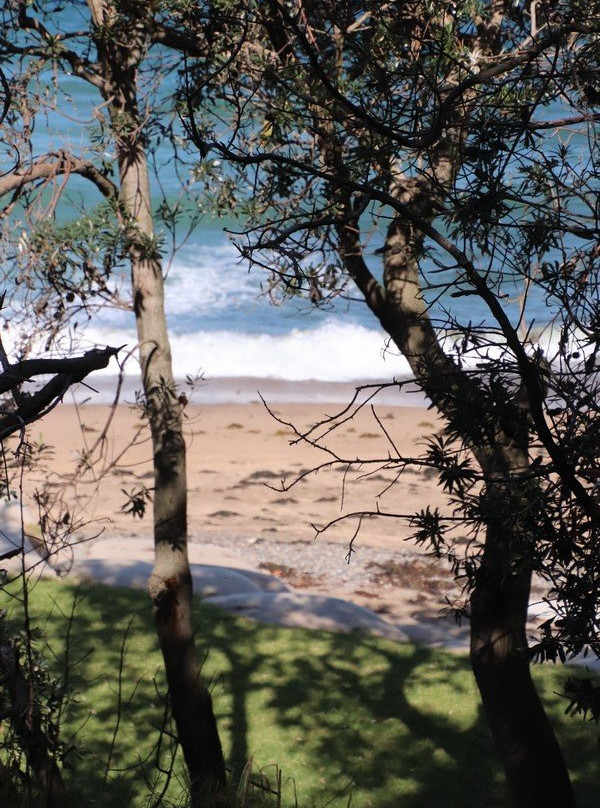 Coalcliff Beach-卧龙岗市必去景点