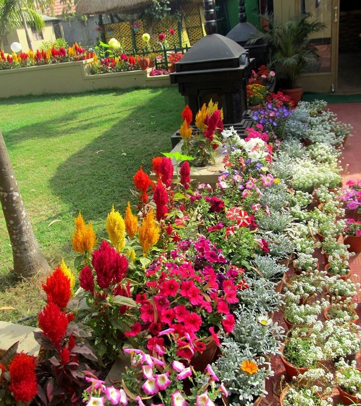 FarmVille Boutique Resort主图