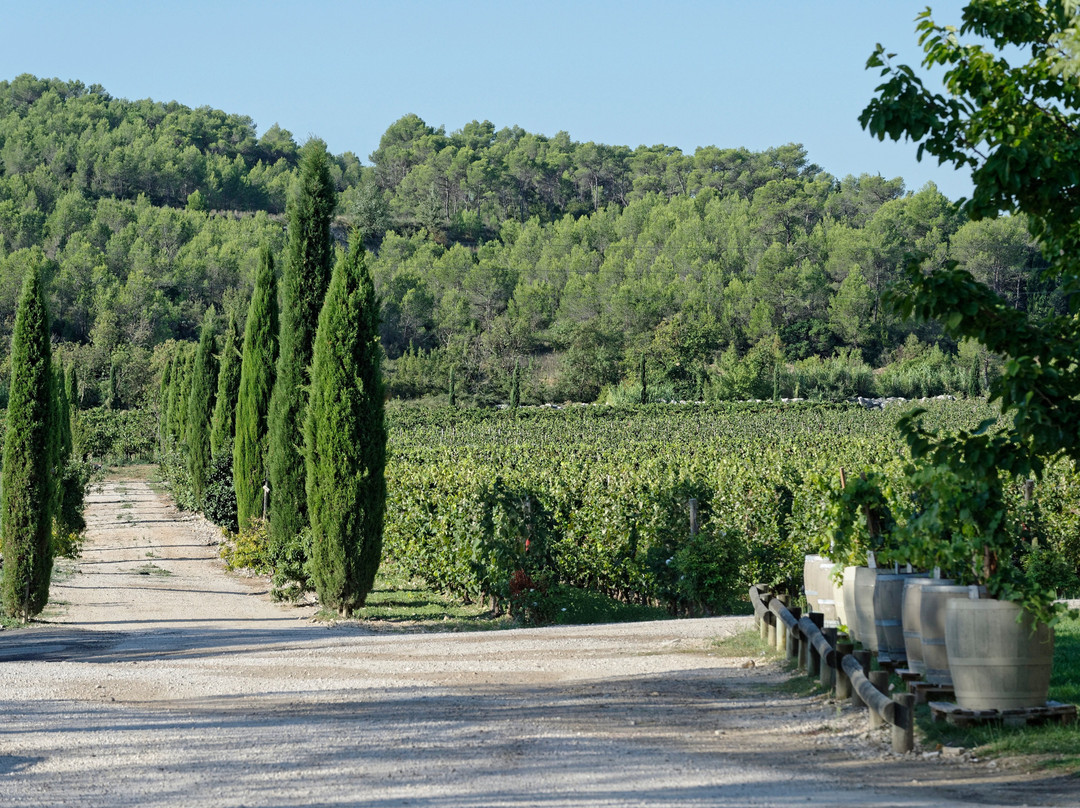 Domaine Haut-Lirou-Le Triadou必去景点
