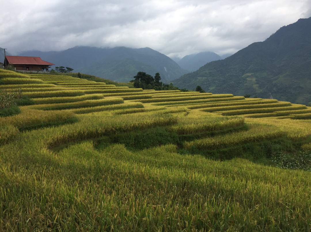 Sapa Trekking Adventure Daily Tour景点图片