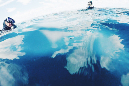 Dive center - Diver Stars-查龙必去景点