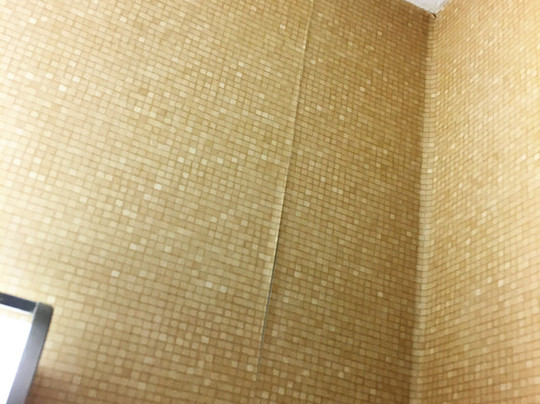 Coast Fraser Inn主图