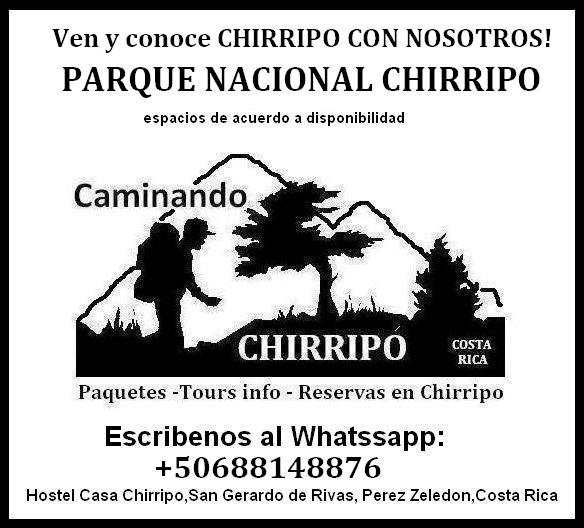 Caminando Chirripo景点图片