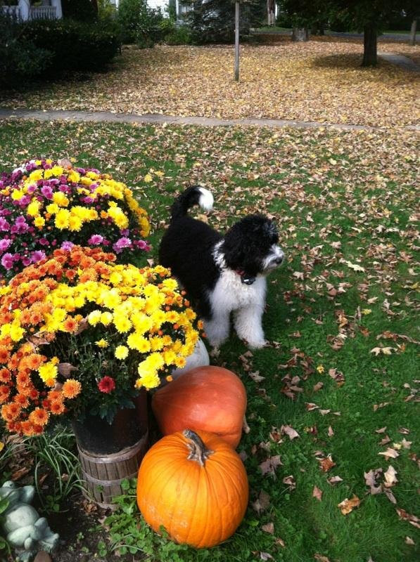 Jefferson Inn of Ellicottville主图