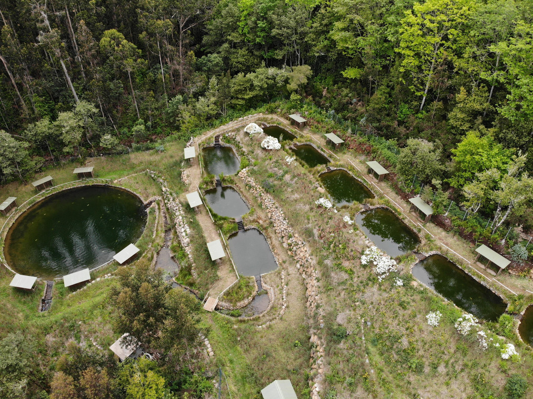 Parque Ribeira Primeira-Santo da Serra必去景点
