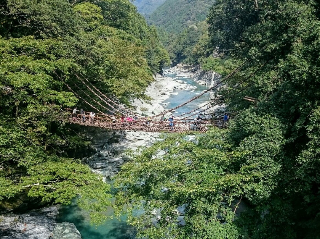 祖谷葛藤桥