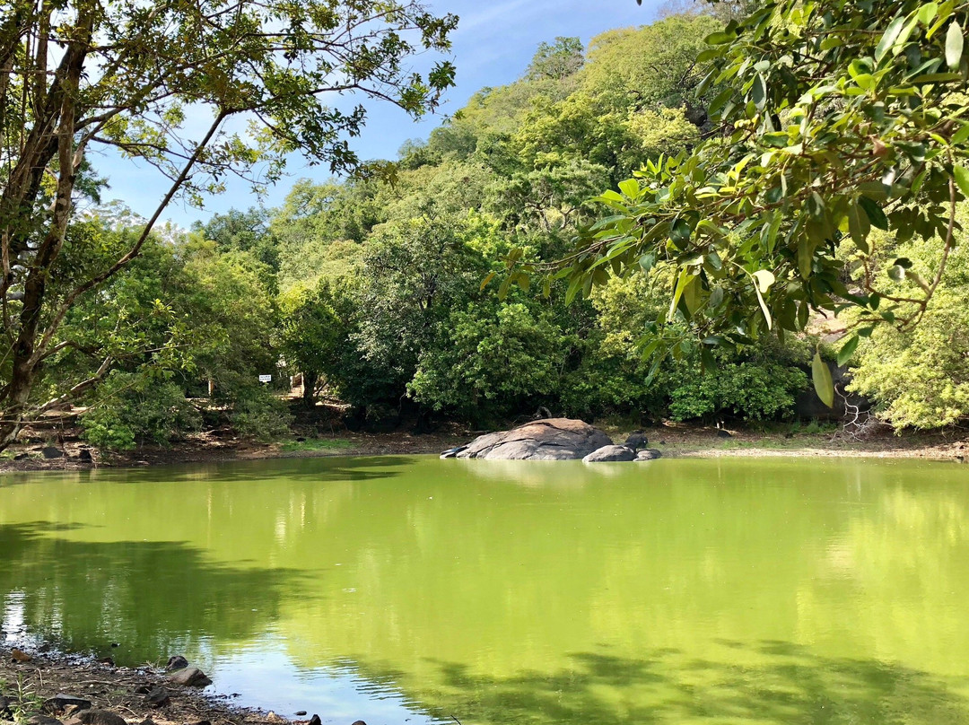 Eastern Province旅游攻略图片