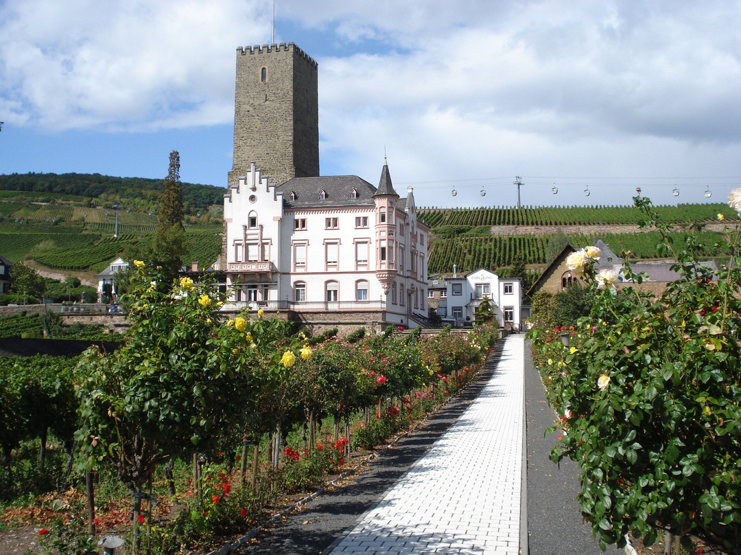 Boosenburg
