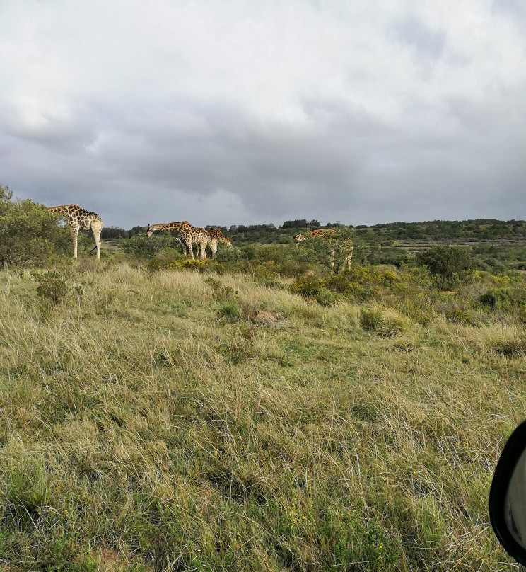 Zee's Cape Tours-Kraaifontein必去景点