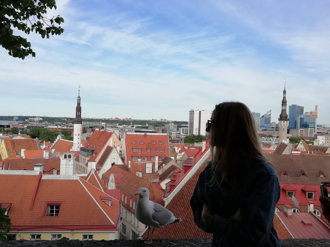 Baltic Idea Generator-维尔纽斯必去景点