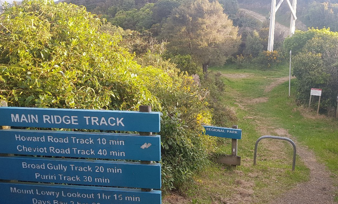 Wainui Lookout景点图片