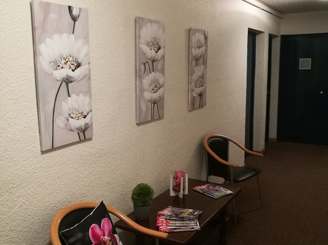 Lys Hotel主图