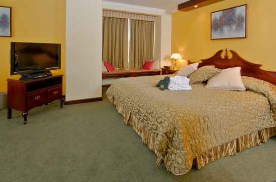 丽兹公寓酒店主图