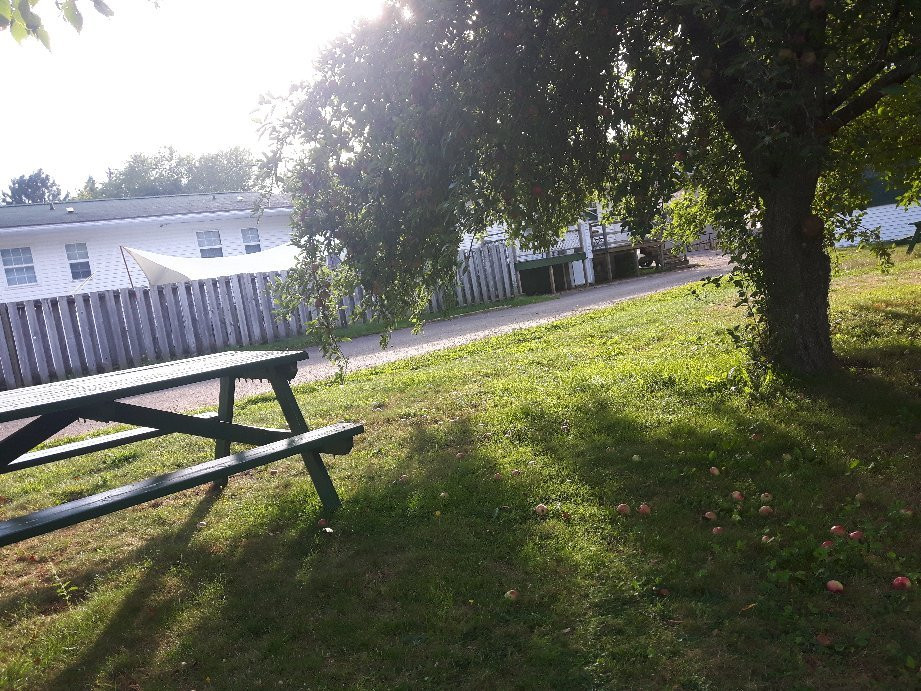 Covered Bridge Inn主图