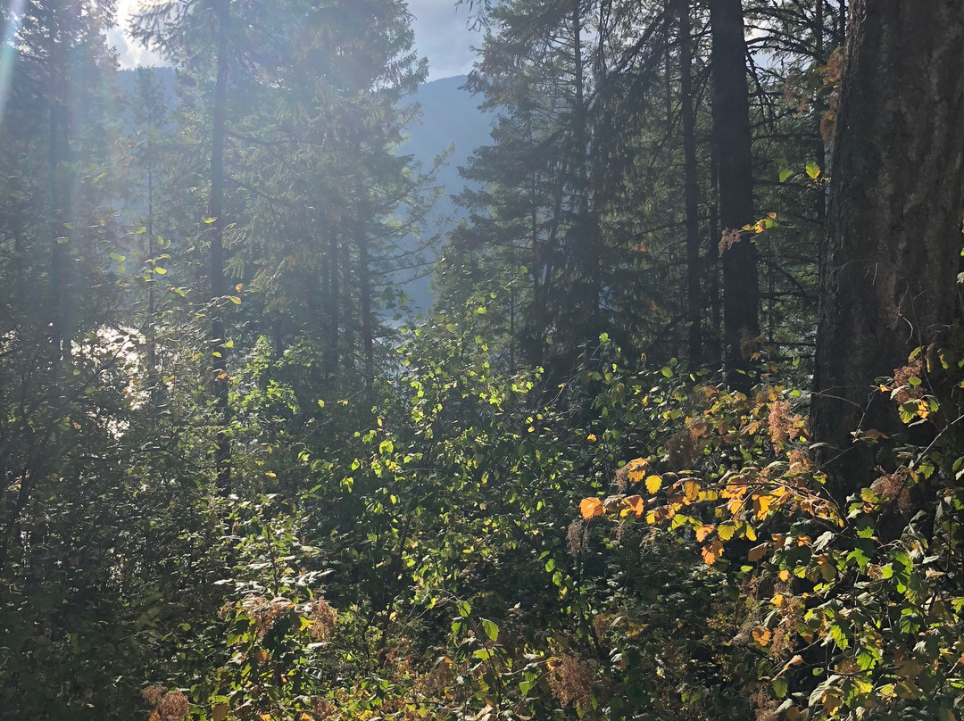Gladstone Provincial Park (including Texas Creek Campground)景点图片