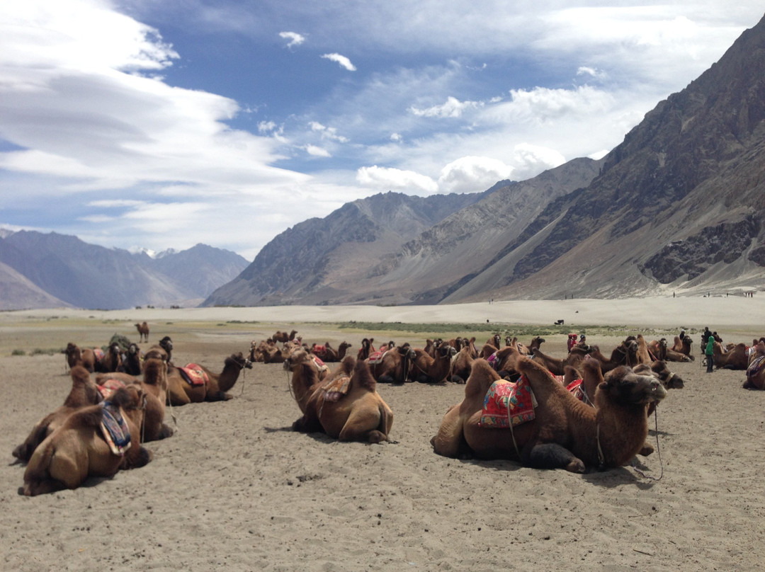 Himalayan Nature Escapes景点图片